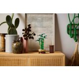 LEGO® Szerencsebambusz