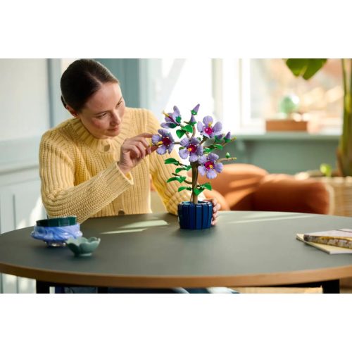LEGO® 10372 Hibiszkusz