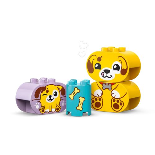 LEGO® 10441 Formaválogató: Kutyusház