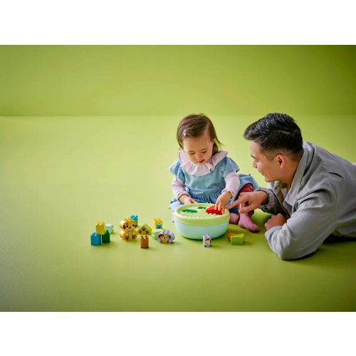 LEGO® 10441 Formaválogató: Kutyusház