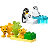 LEGO® Állatcsaládok a vadvilágban: Pingvinek és oroszlánok