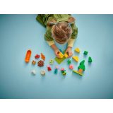 LEGO® 10452 Kempingezős kirándulás