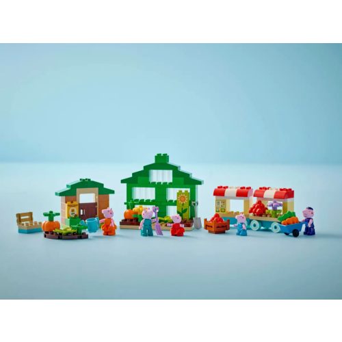 LEGO® 10461 Nagypapi kertje és üvegháza