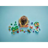 LEGO® 10461 Nagypapi kertje és üvegháza