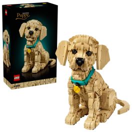 LEGO® 11384 Golden retriever kutyus