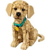 LEGO® 11384 Golden retriever kutyus