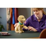 LEGO® 11384 Golden retriever kutyus