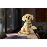 LEGO® 11384 Golden retriever kutyus