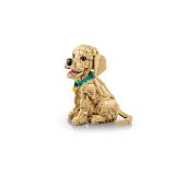 LEGO® 11384 Golden retriever kutyus