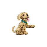 LEGO® 11384 Golden retriever kutyus