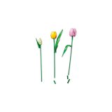 LEGO® 11501 Tulipáncsokor