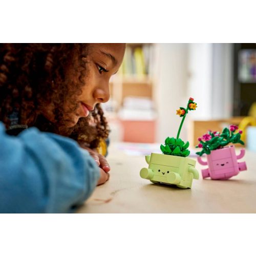 LEGO® 11506 Hintázó növények