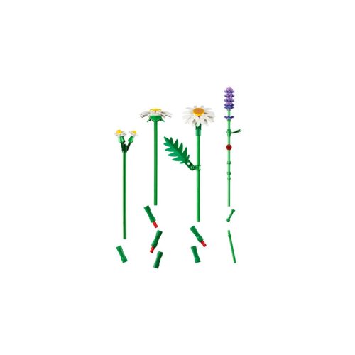 LEGO® 11508 Százszorszépek