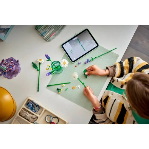 LEGO® 11508 Százszorszépek