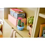 LEGO® 11509 Virágzó kaktusz