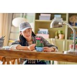 LEGO® 11509 Virágzó kaktusz