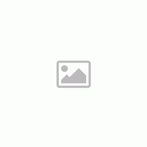 LEGO® Minecraft™ 21190 - Az elhagyatott falu