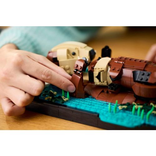 LEGO® 21366 Úszkáló vidrák