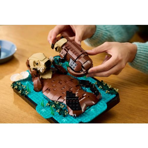 LEGO® 21366 Úszkáló vidrák