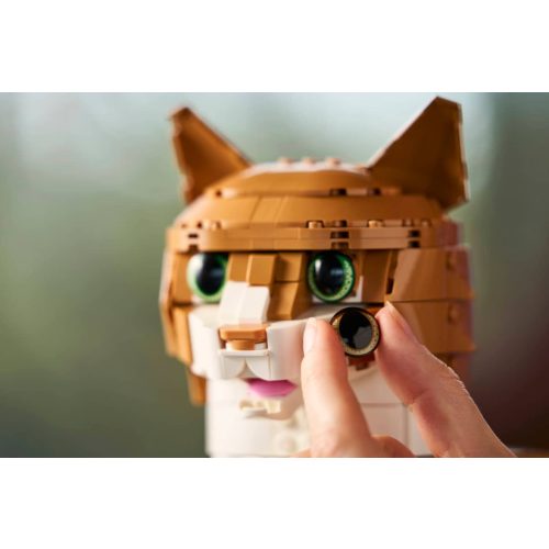 LEGO® 21376 Vörös macska