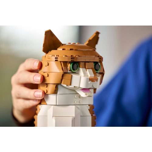 LEGO® 21376 Vörös macska