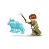 LEGO® 76463 Roxfort™ kastély: Gyengélkedő