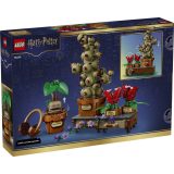 LEGO® 76474 A Roxfort™-i gyógynövénytanóra növényei