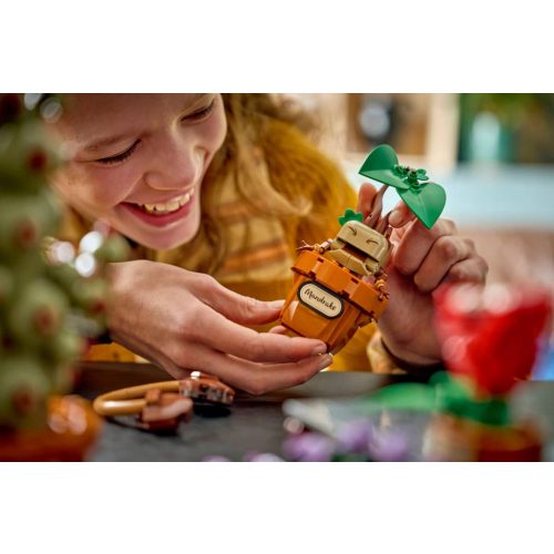 LEGO® 76474 A Roxfort™-i gyógynövénytanóra növényei