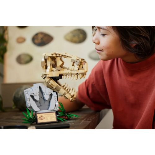 LEGO® Dinoszaurusz maradványok: T-Rex koponya