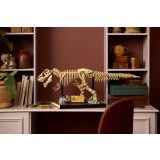 LEGO® 76968 Dinoszaurusz maradványok: Tyrannosaurus rex