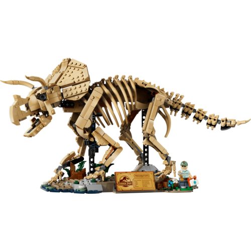 LEGO® 77985 Dinoszaurusz maradványok: Triceratops